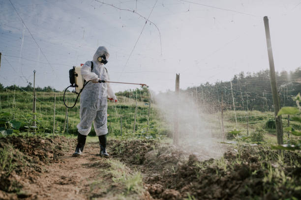Best Affordable Pest Control Services  in Greenfield, IN