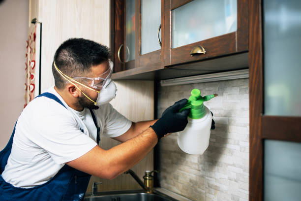 Flea Control Services in Greenfield, IN