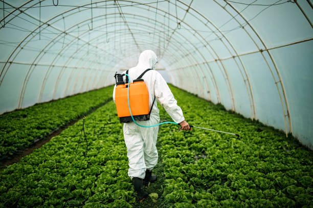 Best Pest Inspection Near Me  in Greenfield, IN