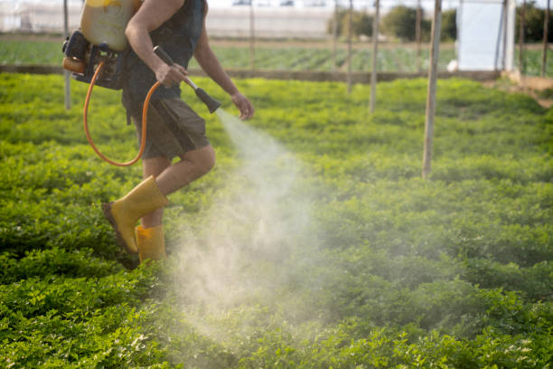 Best Pest Control for Businesses  in Greenfield, IN