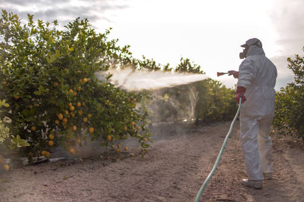 Best Flea Control Services  in Greenfield, IN