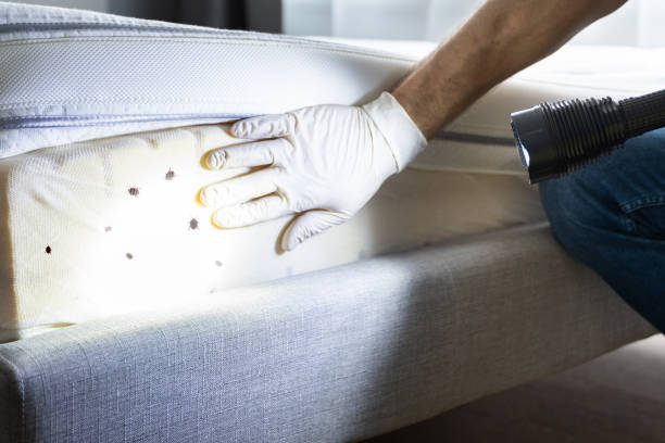 Best Cockroach Control Services  in Greenfield, IN