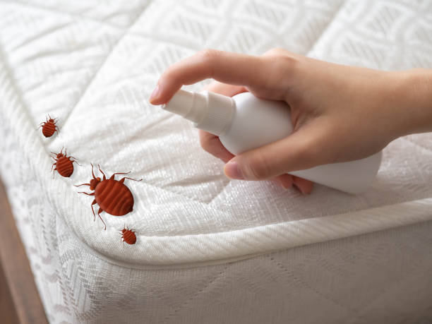 Best Flea Control Services  in Greenfield, IN