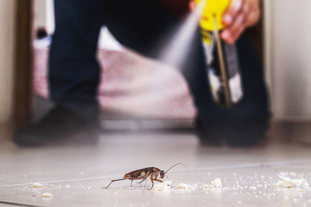 Spider Control Near Me in Greenfield, IN