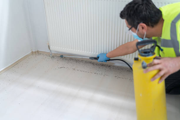 Best Pest Prevention Services  in Greenfield, IN