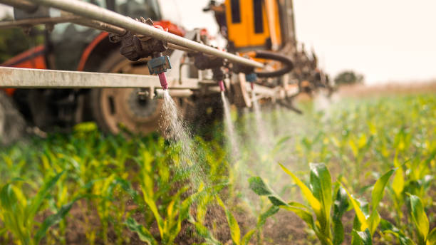 Professional Pest Control in Greenfield, IN